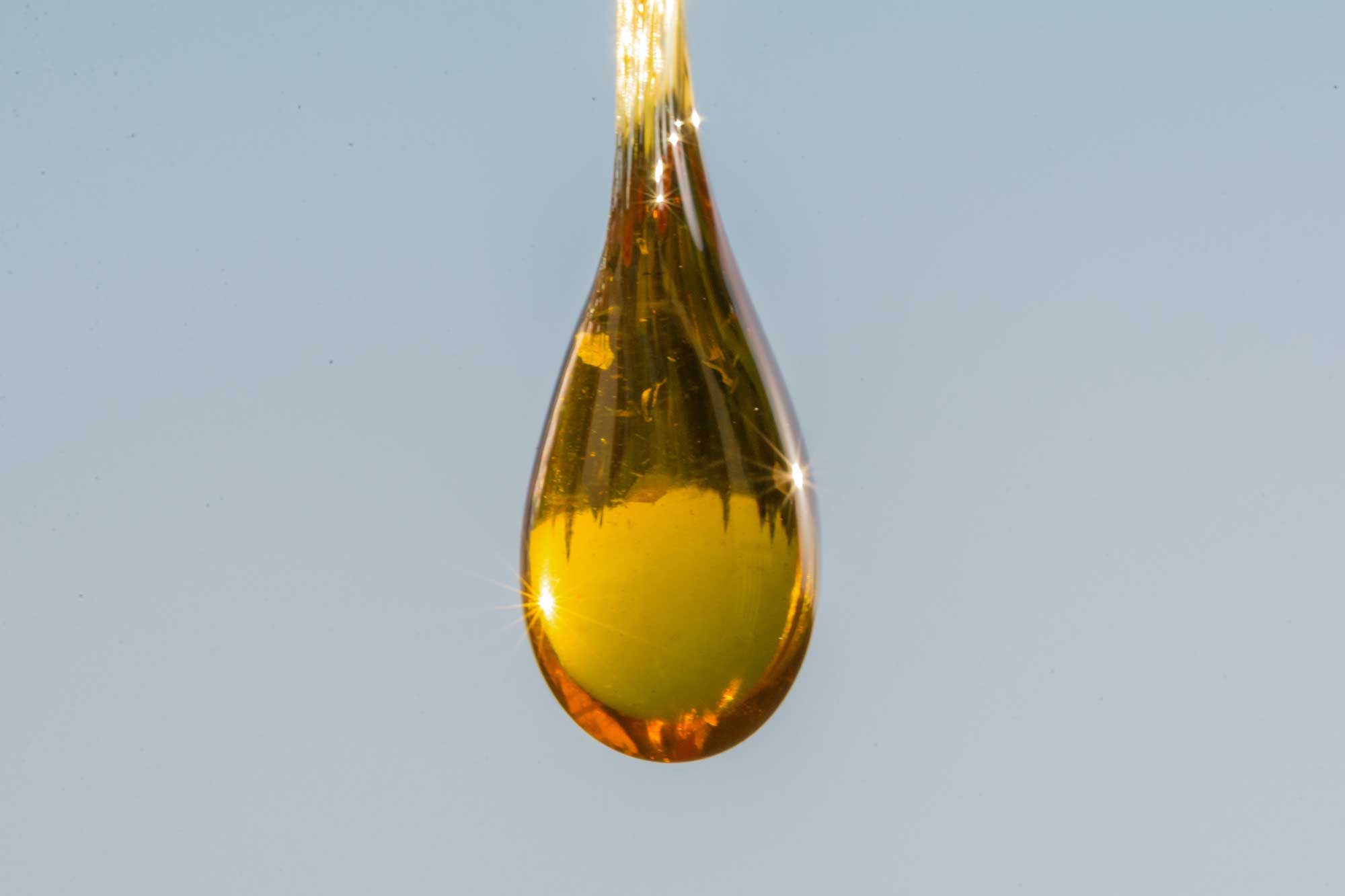 CBD Oil, The New Medical Elixir | OSNI
